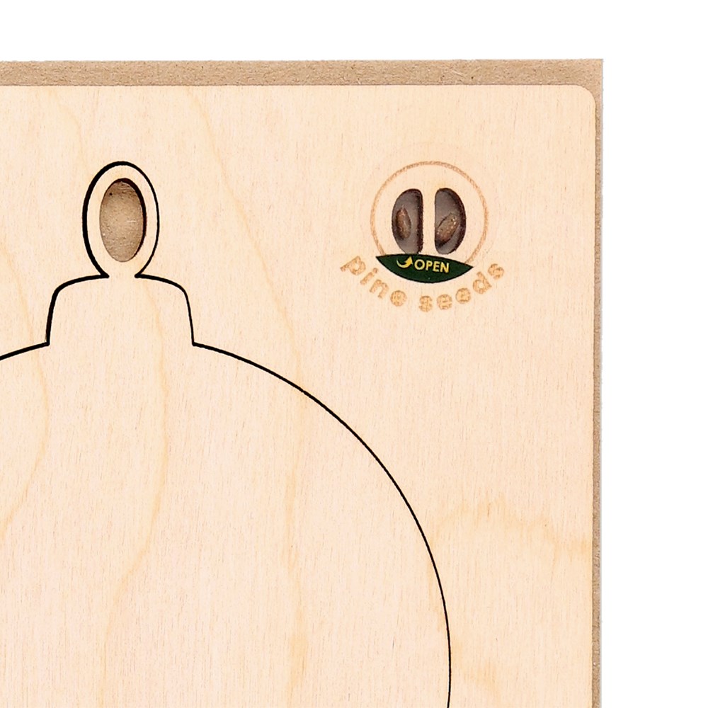 Kerstkaart Decoratie Astrox