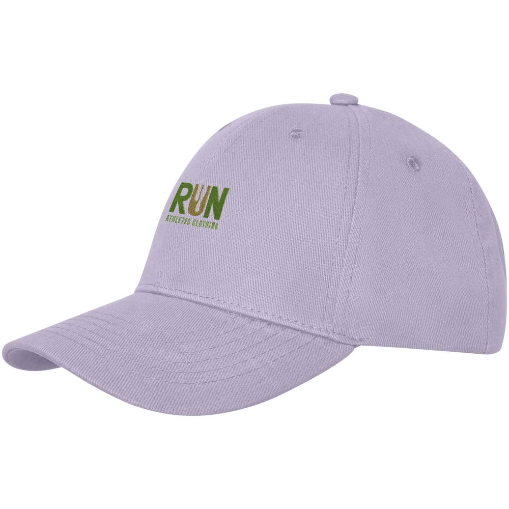Davis 6 panel cap
