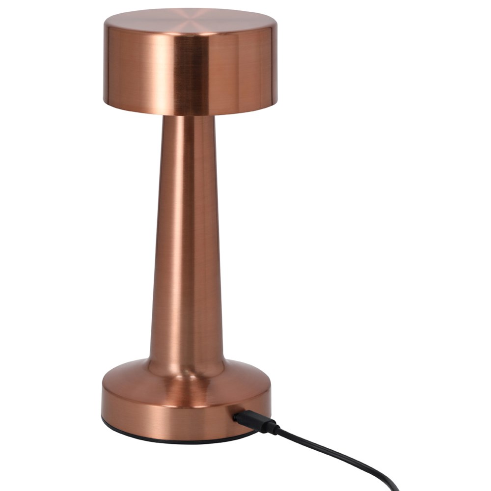 Lamp Rosity