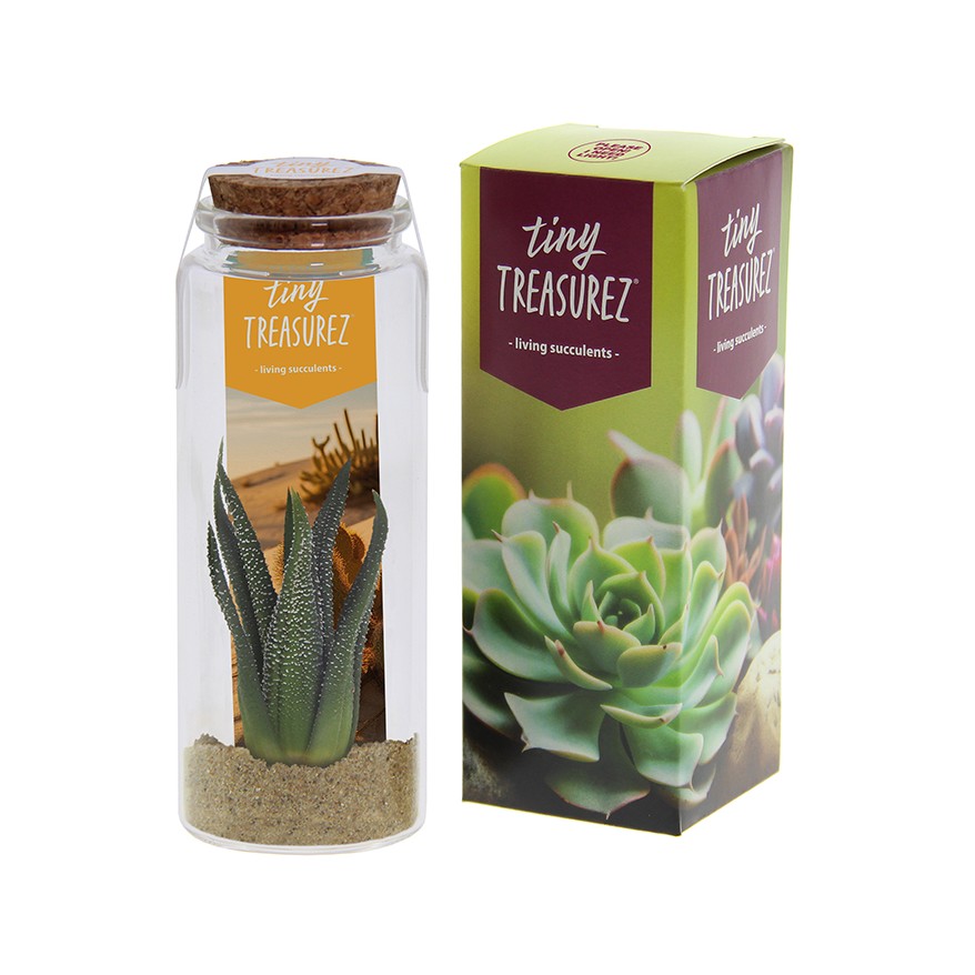 Tiny Treasurez® - Message in a bottle large, In giftbox, Oranje