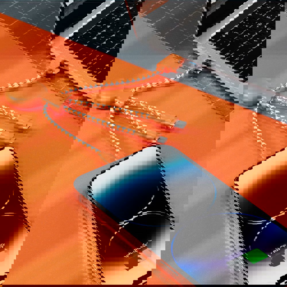 2081 | Xoopar Mr. Bio Charging cable