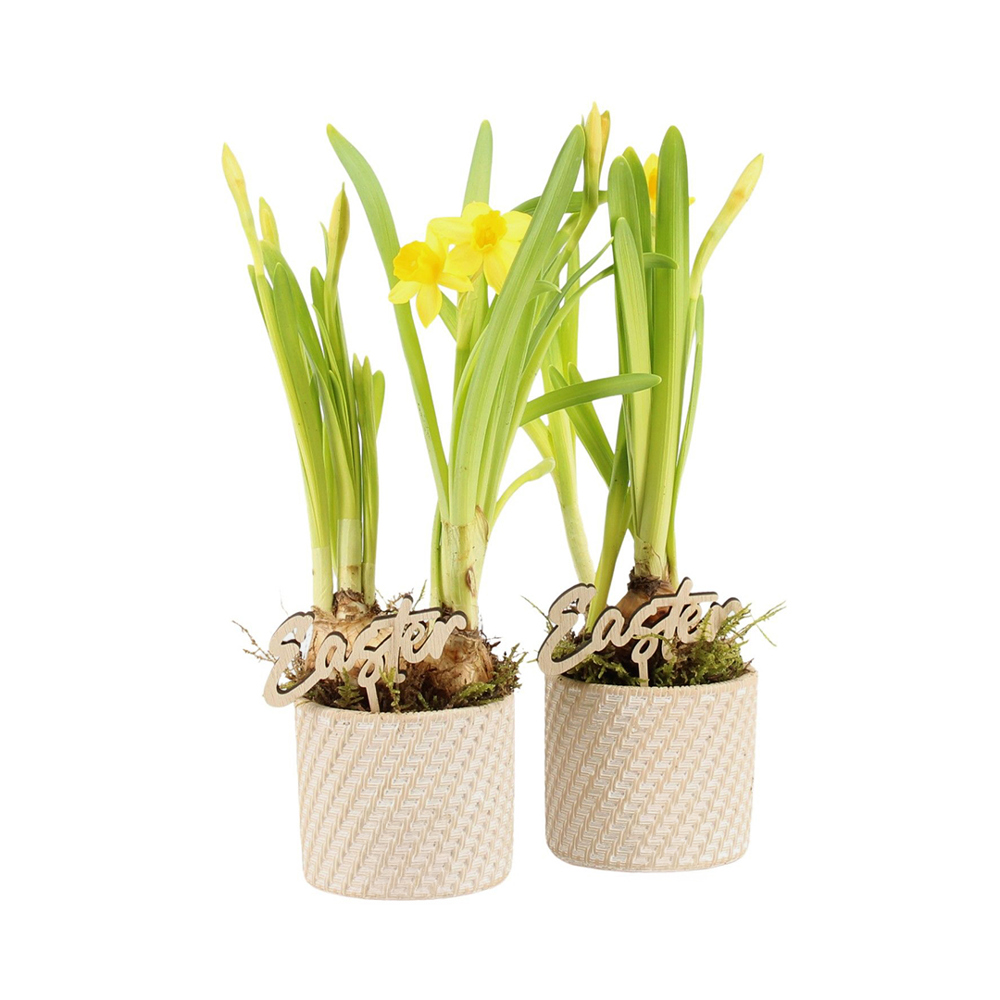 Easter braided ceramic small - Narcis