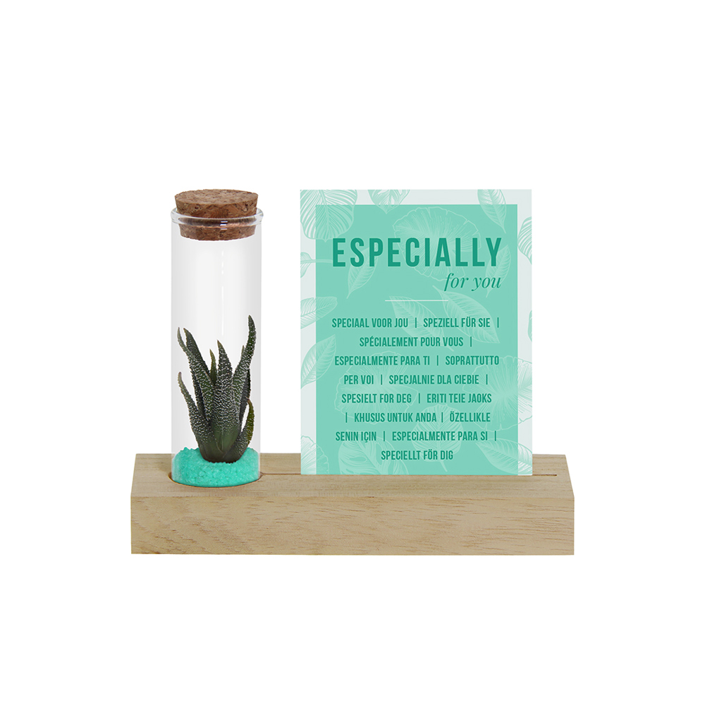 Tiny Treasurez® - Cardholder & tube - Turquoise