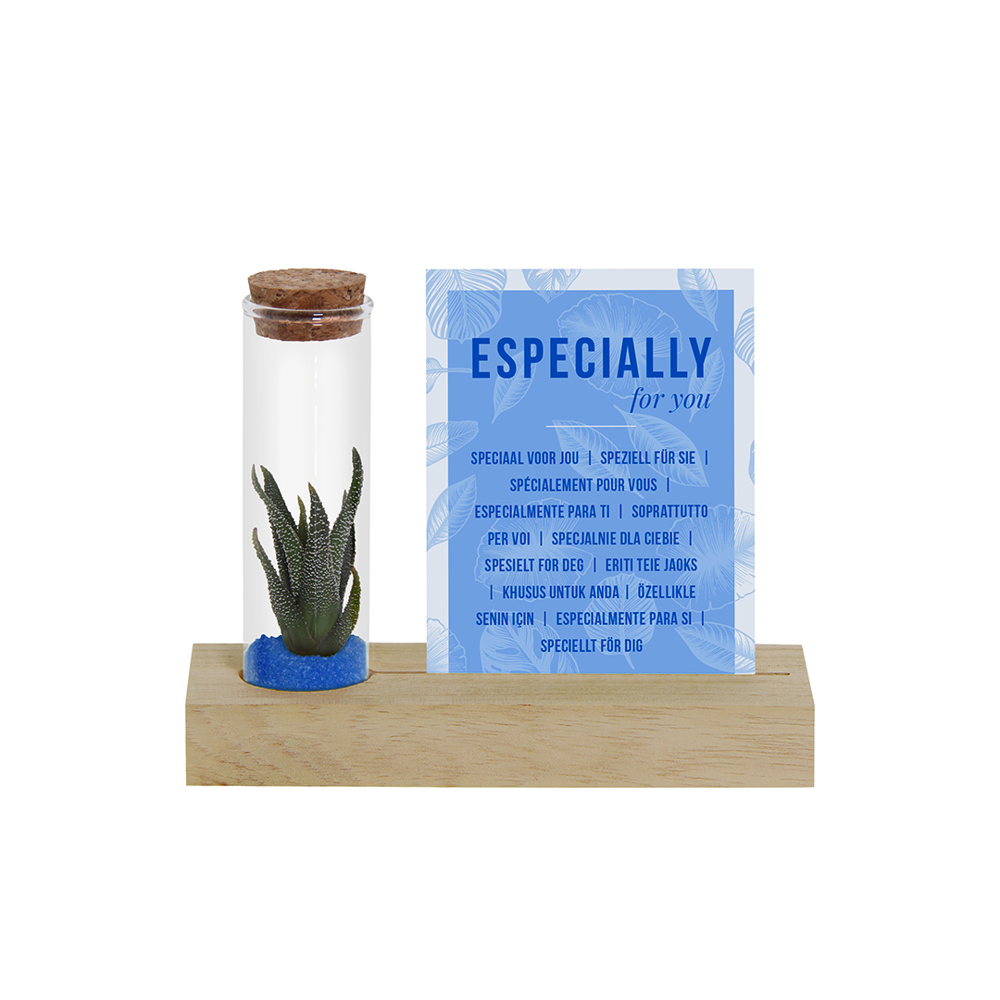 Tiny Treasurez® - Cardholder & tube - Blauw