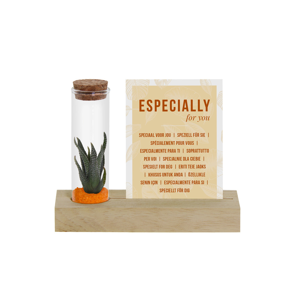 Tiny Treasurez® - Cardholder & tube - Oranje
