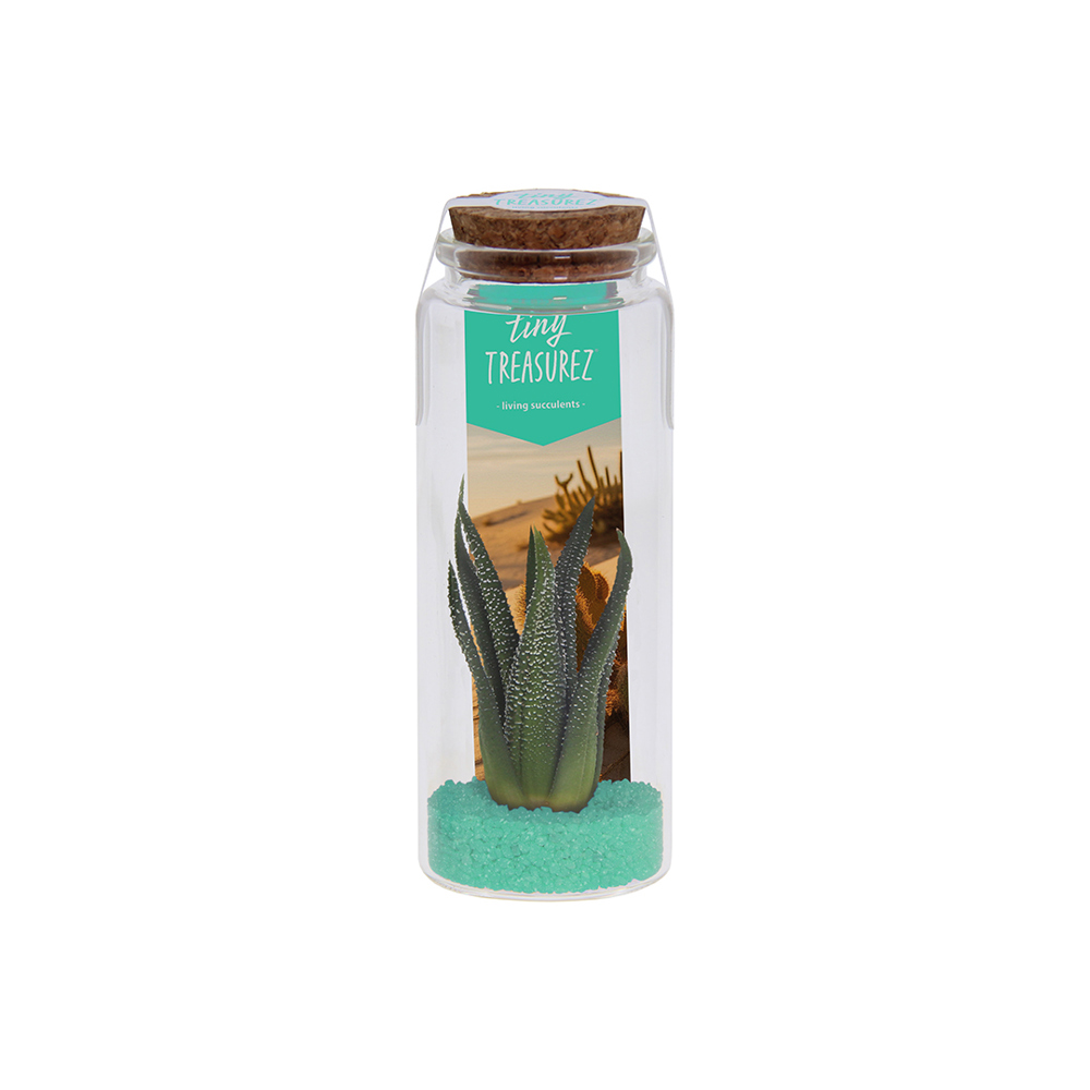 Tiny Treasurez® - Message in a bottle large - Turquoise