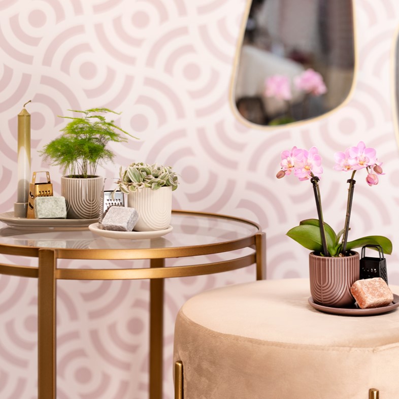 Aromatic Christmas Giftset small