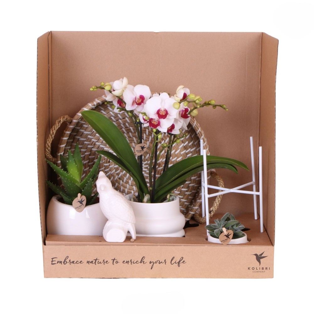 Botanical Giftset large - White Serenity