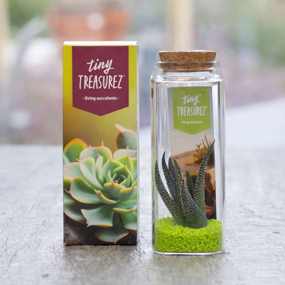 Tiny Treasurez® - Message in a bottle large, In giftbox, Oranje