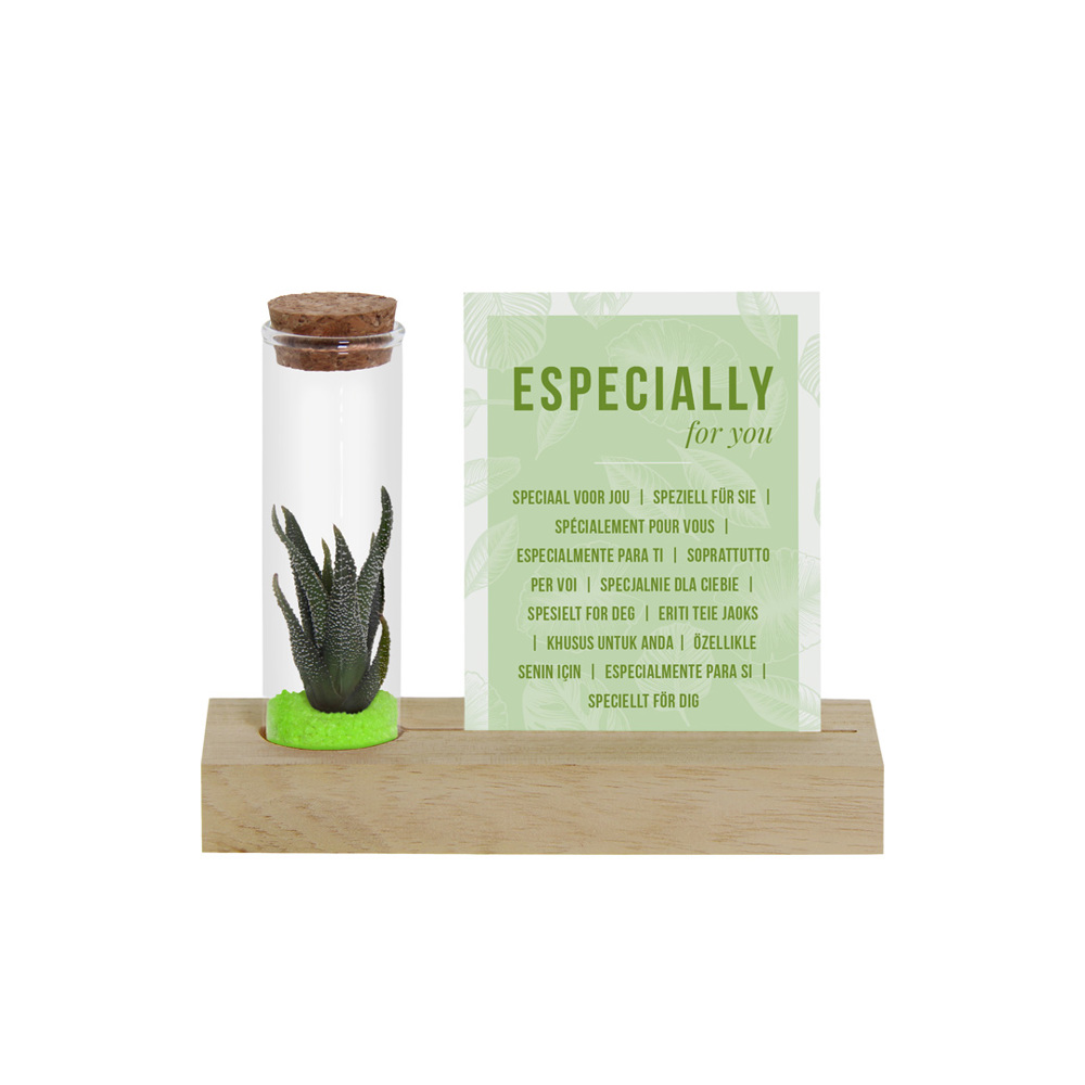 Tiny Treasurez® - Cardholder & tube - Groen