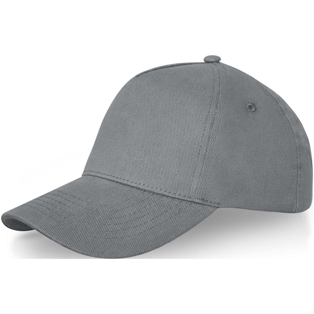 Doyle 5 panel cap - Grijs