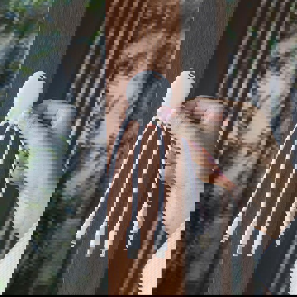 2087 | Xoopar Eco Octopus Oplaadkabel