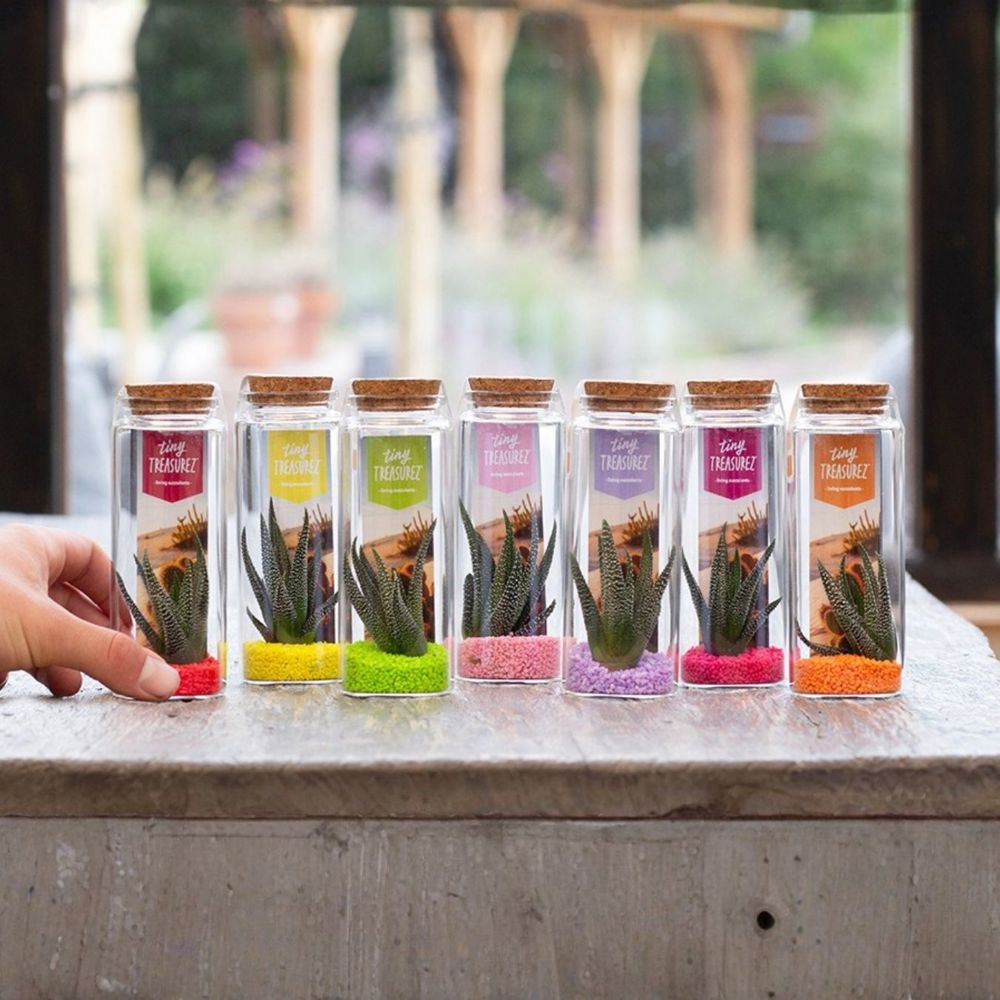 Tiny Treasurez® - Message in a bottle large, In giftbox, Oranje