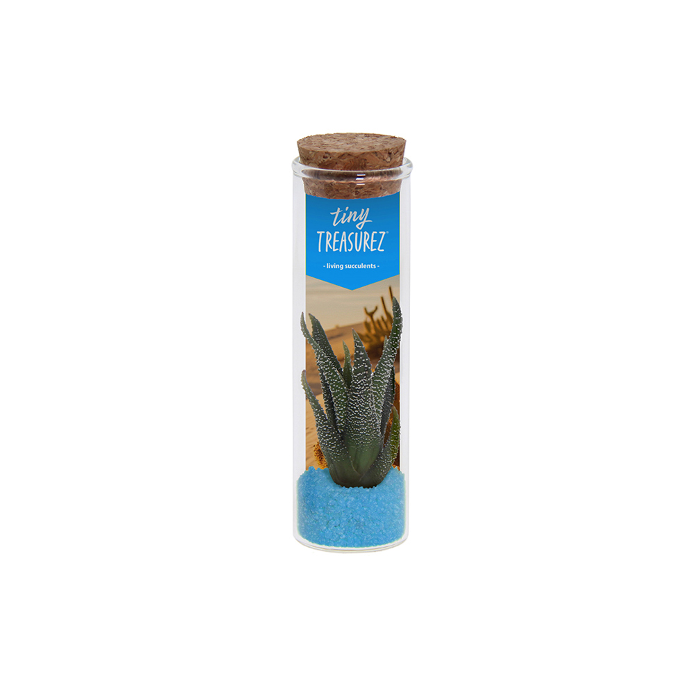 Tiny Treasurez® - Message in a bottle small - Licht blauw
