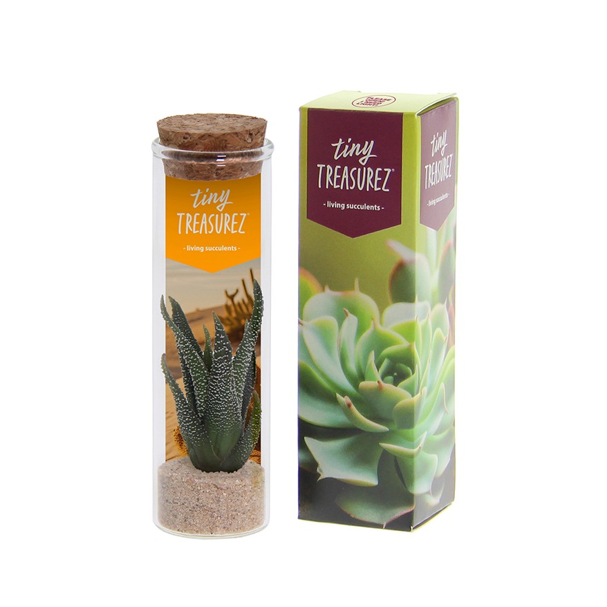 Tiny Treasurez® - Message in a bottle small, Zonder verpakking, Oranje