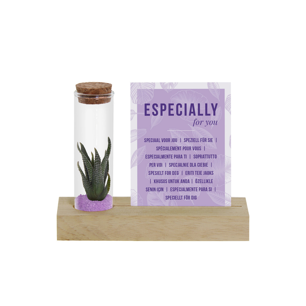 Tiny Treasurez® - Cardholder & tube - Paars