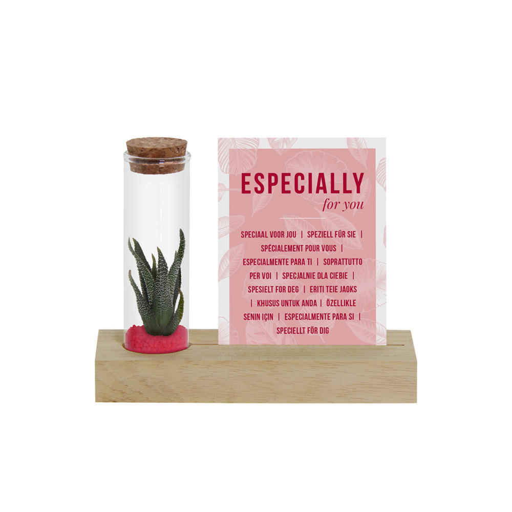 Tiny Treasurez® - Cardholder & tube - Donker Roze