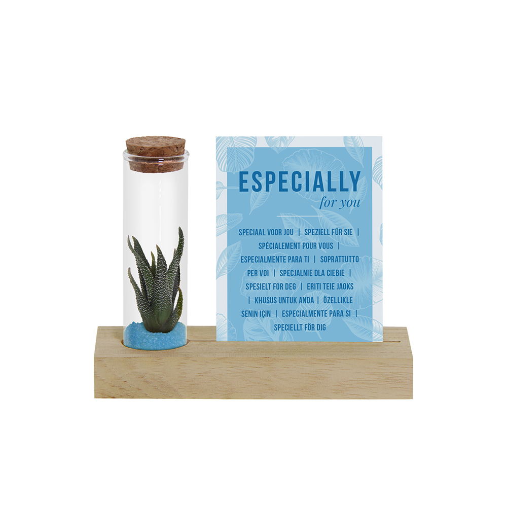 Tiny Treasurez® - Cardholder & tube - Licht blauw