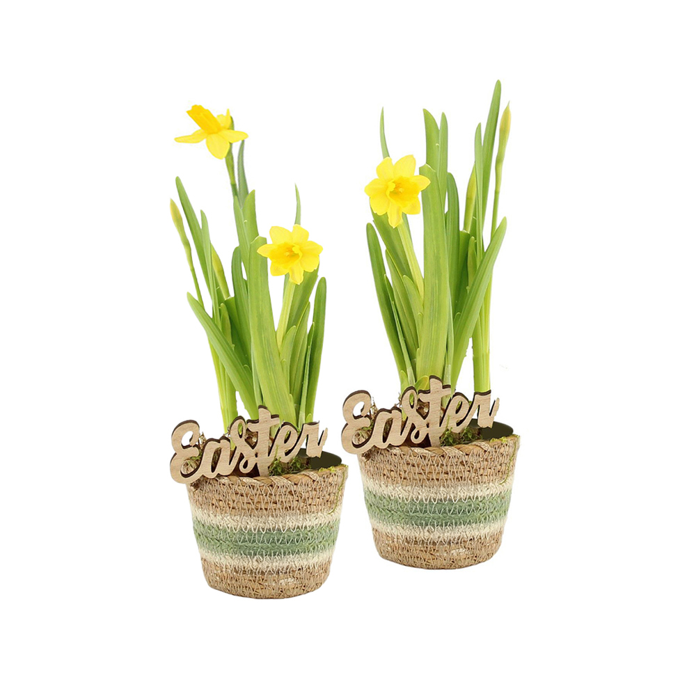 Easter basket small - Narcis