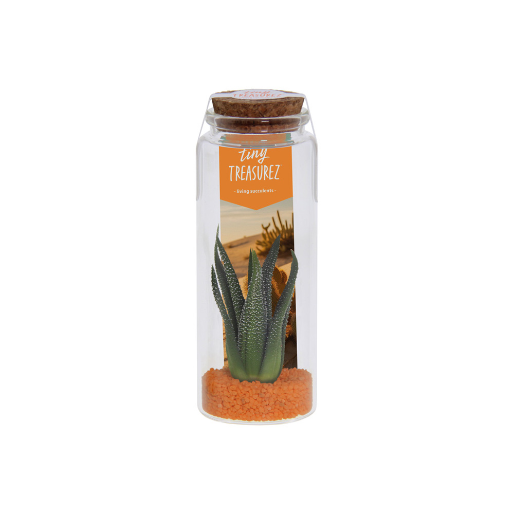 Tiny Treasurez® - Message in a bottle large - Oranje