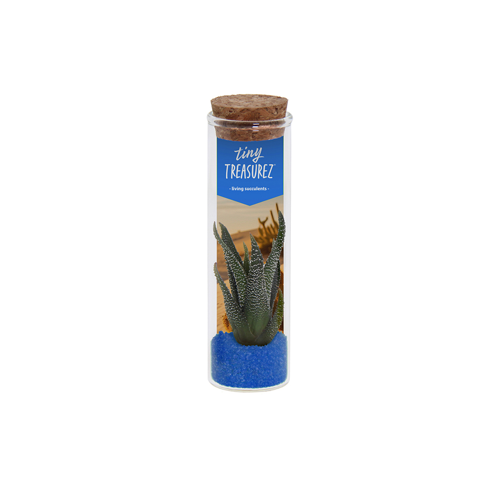 Tiny Treasurez® - Message in a bottle small - Blauw