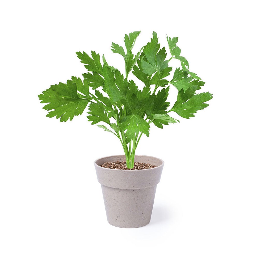 Bloempot Set Nertel