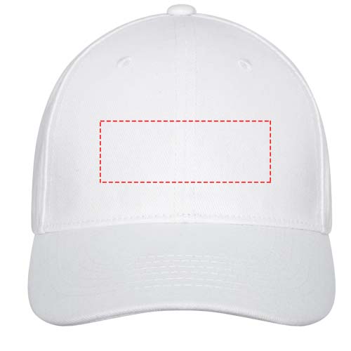 Davis 6 panel cap